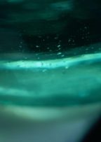 清水清三郎商店「常若」：市川タカヒロ 写真展