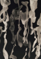 pc_コンテンツ一覧